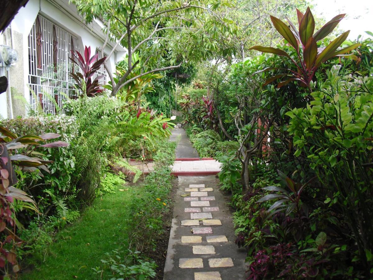 Apartmán 15 Min From The Airport In Kingston Jamaica Exteriér fotografie